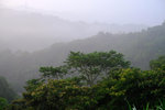 DSCF2984