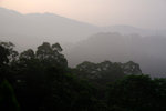 DSCF2985