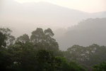 DSCF2996