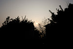 DSCF3043