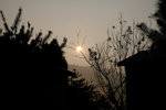 DSCF3045