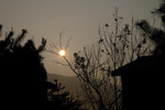 DSCF3046
