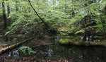 DSC01046
