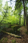 IMGP0392