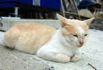 DSC00184