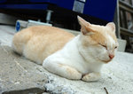 DSC00187