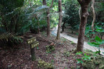 DSC00204