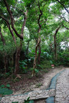 DSC00206