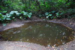 DSC00208