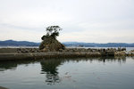 DSC00295