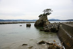 DSC00296