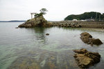 DSC00309
