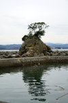 DSC00315