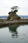 DSC00316