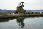DSC00317