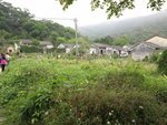 IMG_0795