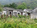 IMG_0796