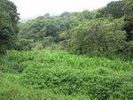 IMG_0801