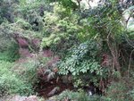 IMG_0802