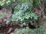 IMG_0804