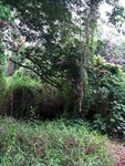 IMG_0805