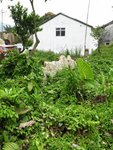 IMG_0814