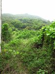 IMG_0820