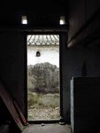 IMG_0828