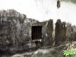IMG_0831