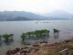 IMG_0011