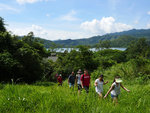 P2020409
