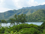 P2020426