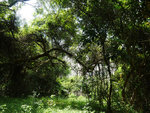 P2020429