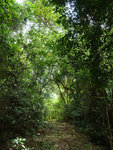 P2020430
