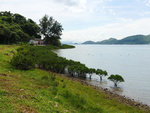 P2020447