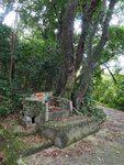 P2020511