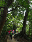 P2020512