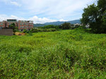 P2020514