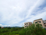 P2020519