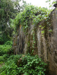 P2020532