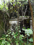 P2020533