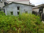 P2020539