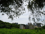 P2020564