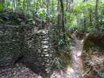 P2020586