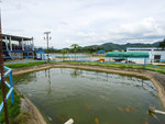P2020593