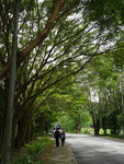 P2020636