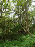 P2020644