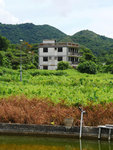 P2020650