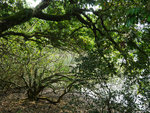 P1680358