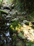 P1680385